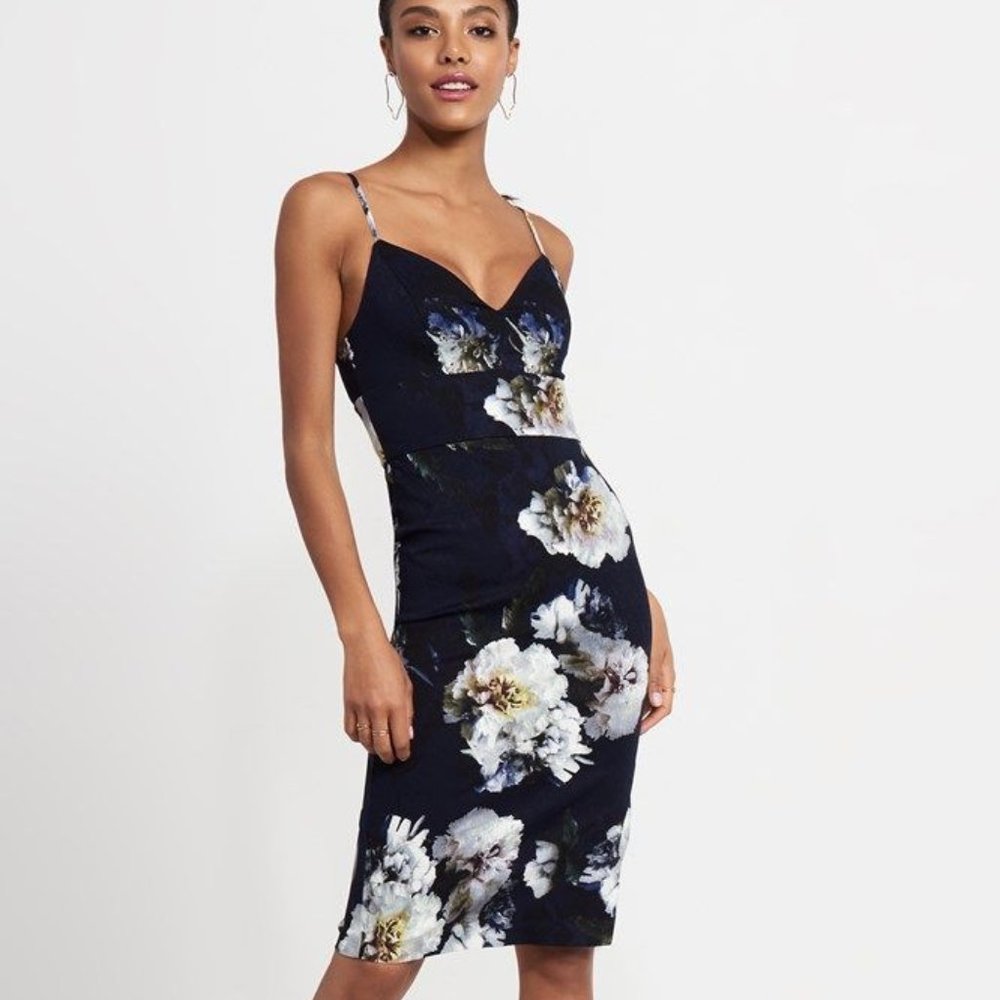BNWT Dynamite Bodycon Blue Floral Dress